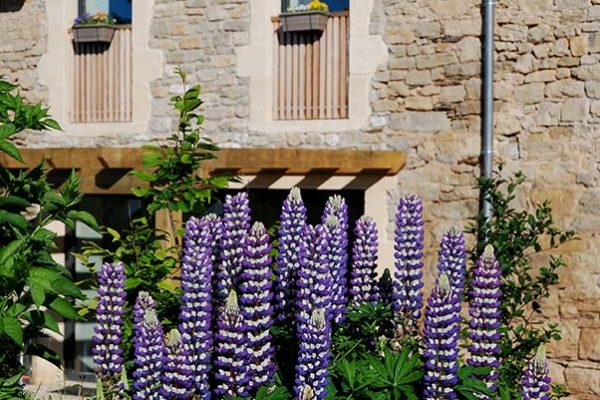 Chambres-Hotes-Aveyron-Le-Mas-Ruas-Fleurs