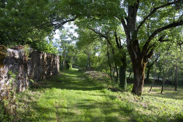 Nature-Mas-Ruas-Aveyron-Logement